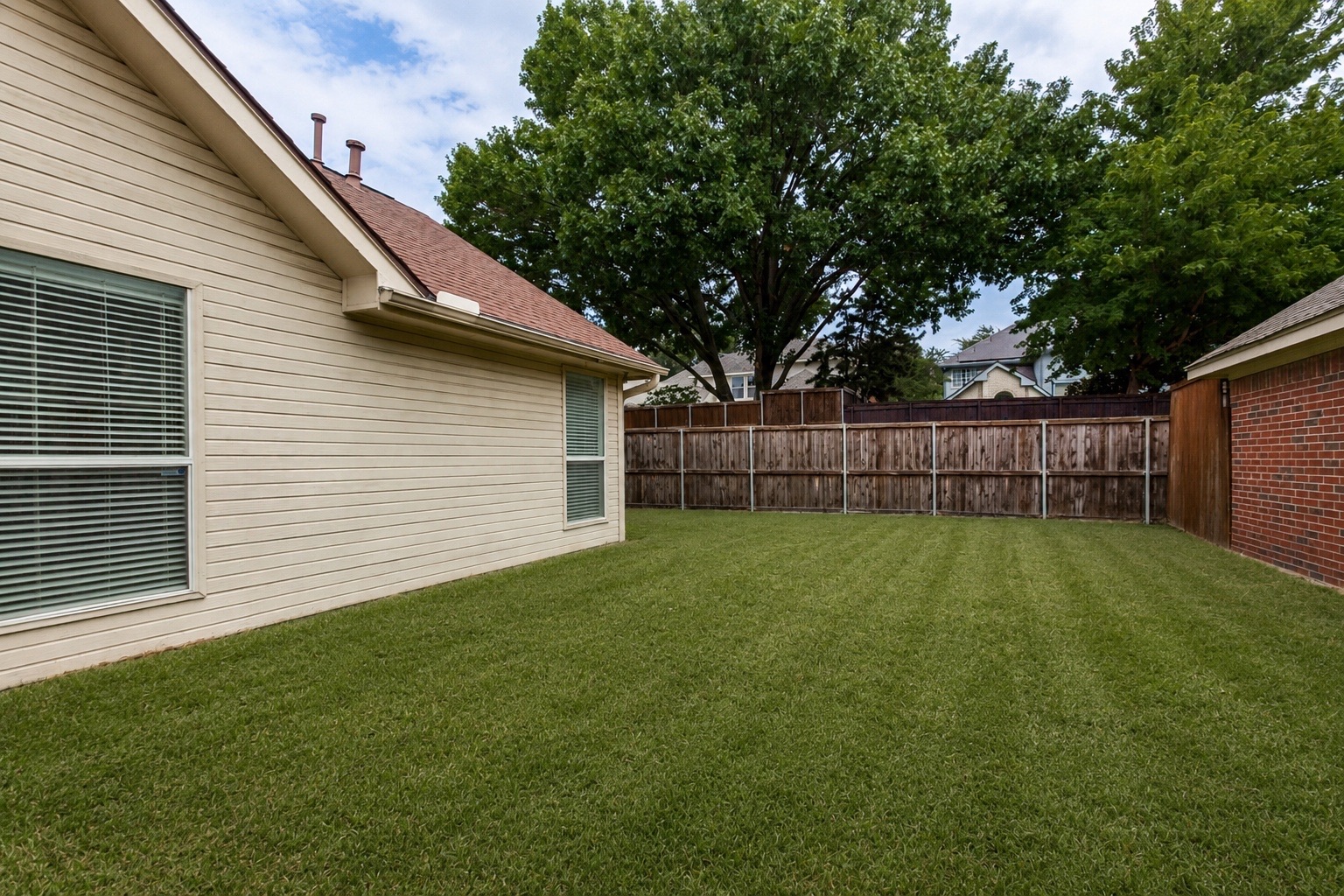 Backyard after lawn enhancement