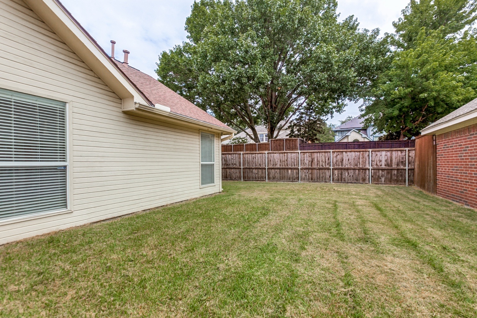 Backyard before lawn enhancement